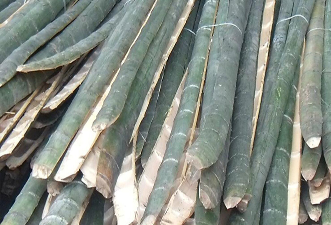 Ningguo Kuntai Bamboo and Wood Co.,Ltd.